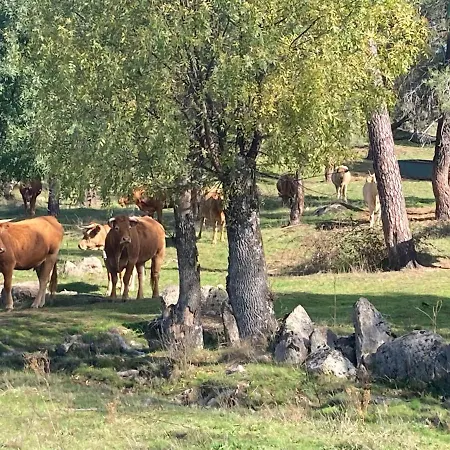 Aventura I Holiday home Navaluenga