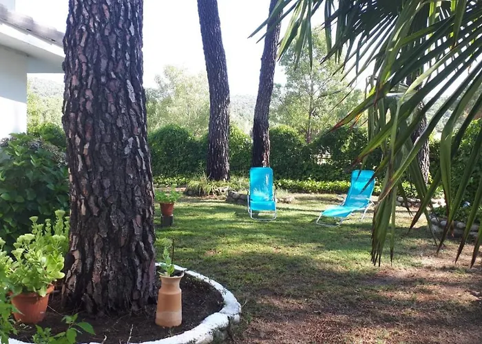 Aventura I * Навалуэнга