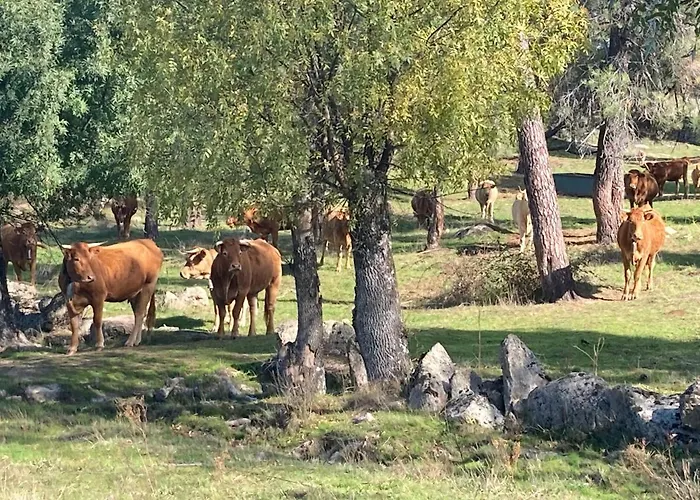 Aventura I Дом отдыха Навалуэнга